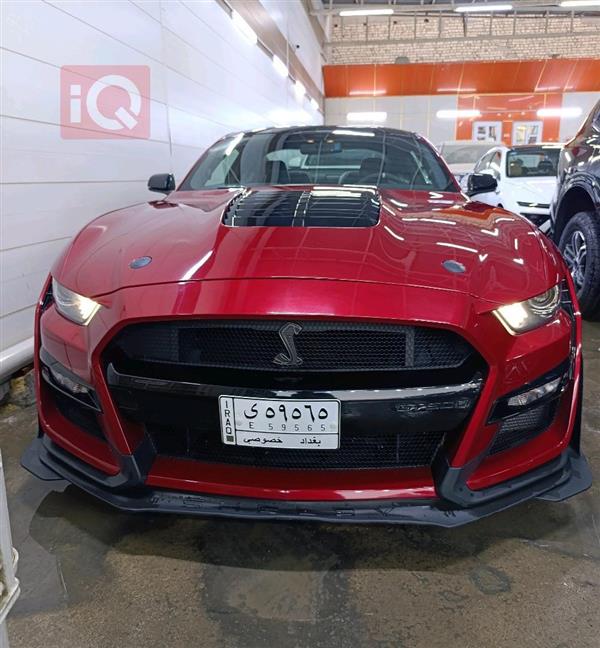 Ford for sale in Iraq